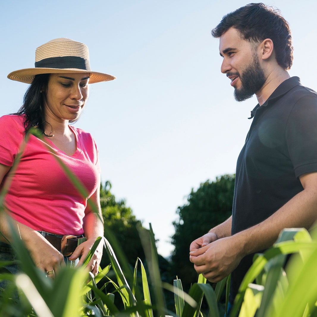agronomist and coffee farmers