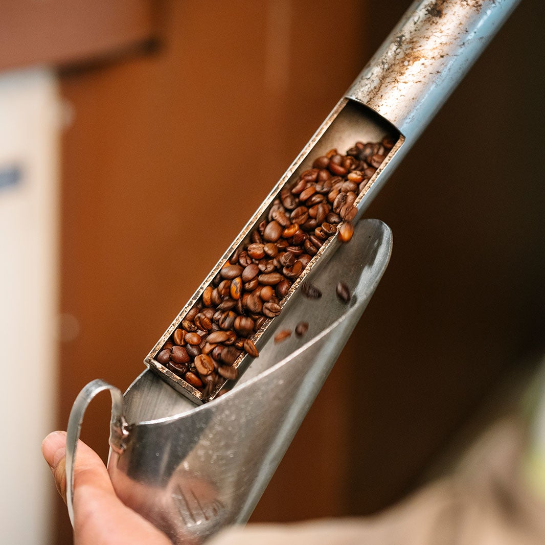 finding the perfect roast