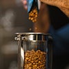 barista preparing coffee