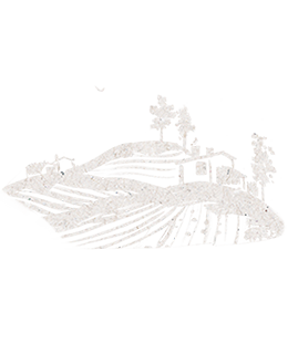 Silhouette of a coffee farm