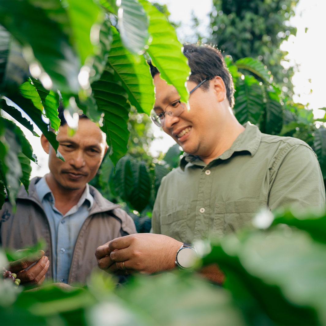 Agronomists in Vietnam