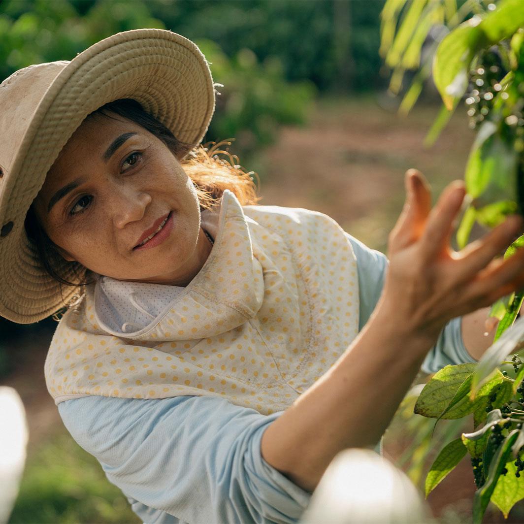 Coffee Farmers in Vietnam
