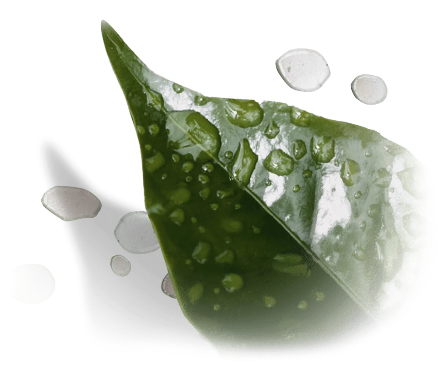 Circular Economy In Coffee Production