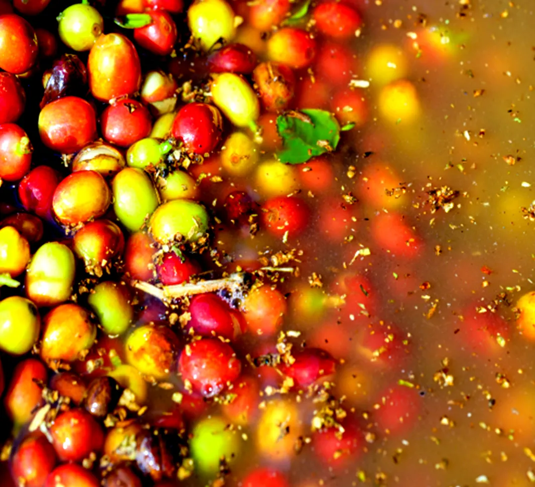 Wet processing