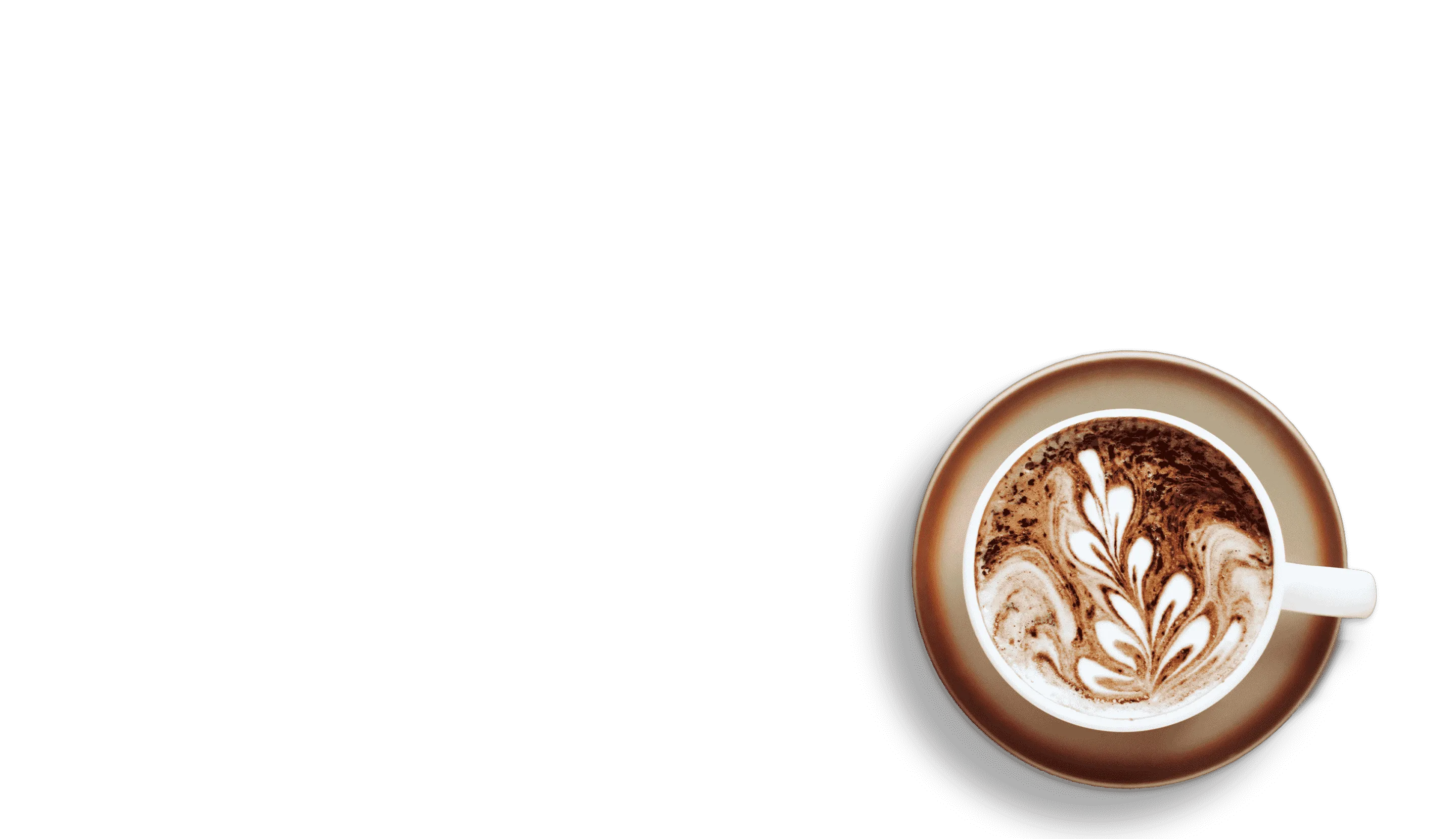 what is craft coffee?