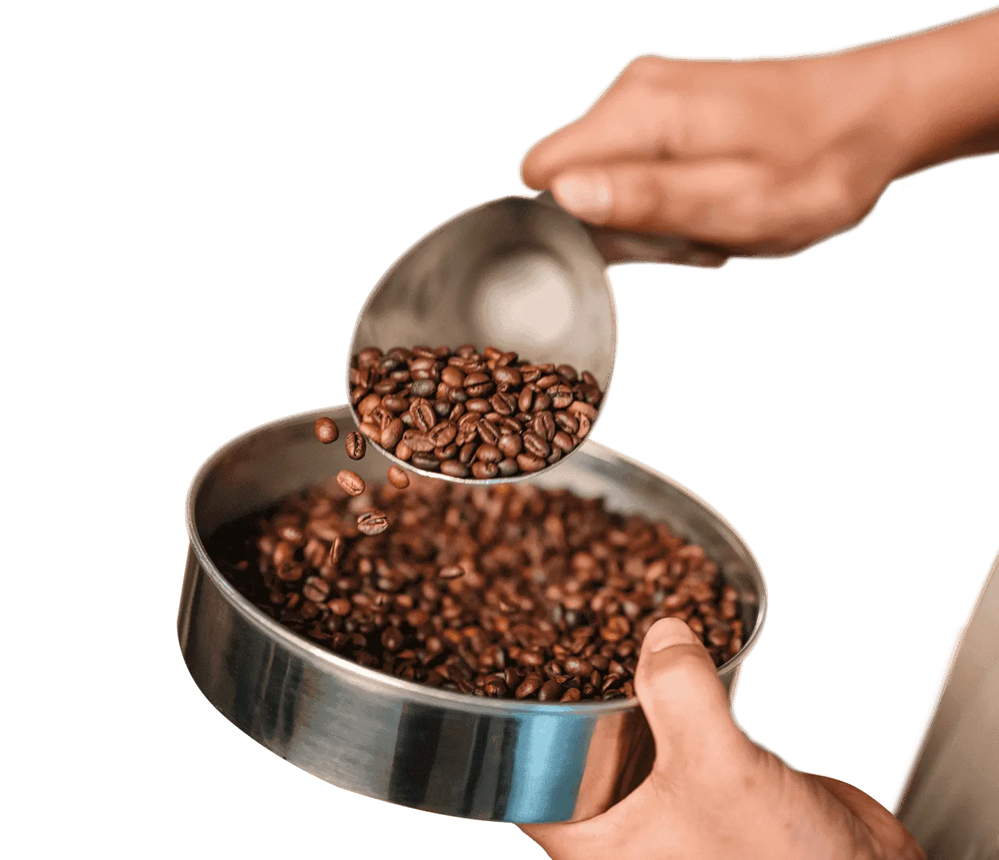 nescafé roasters