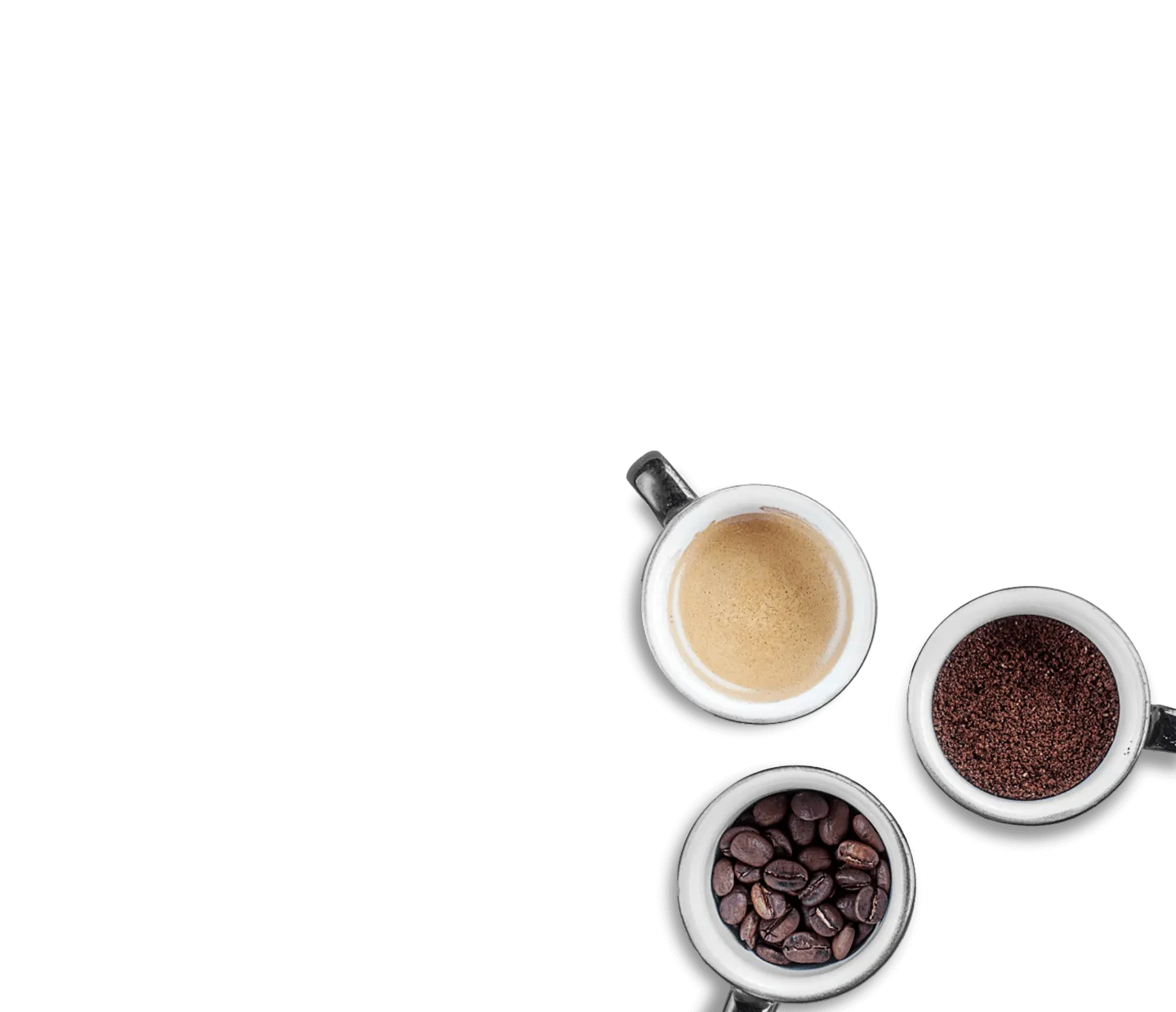 coffee tasting