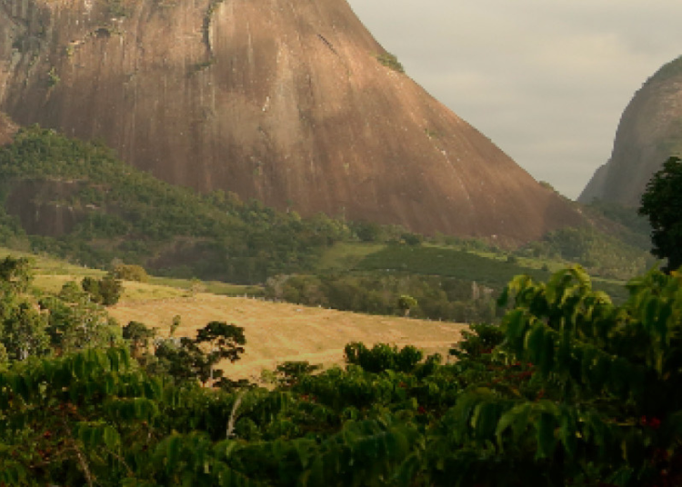 NESCAFÉ® sustainability