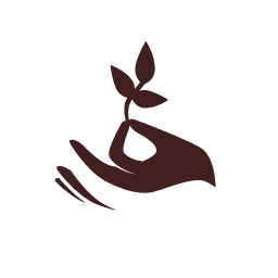 mão a segurar uma folha