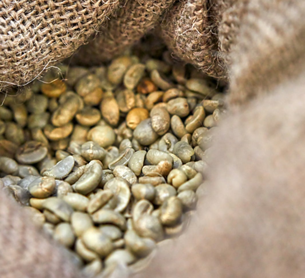 termos ligados ao café