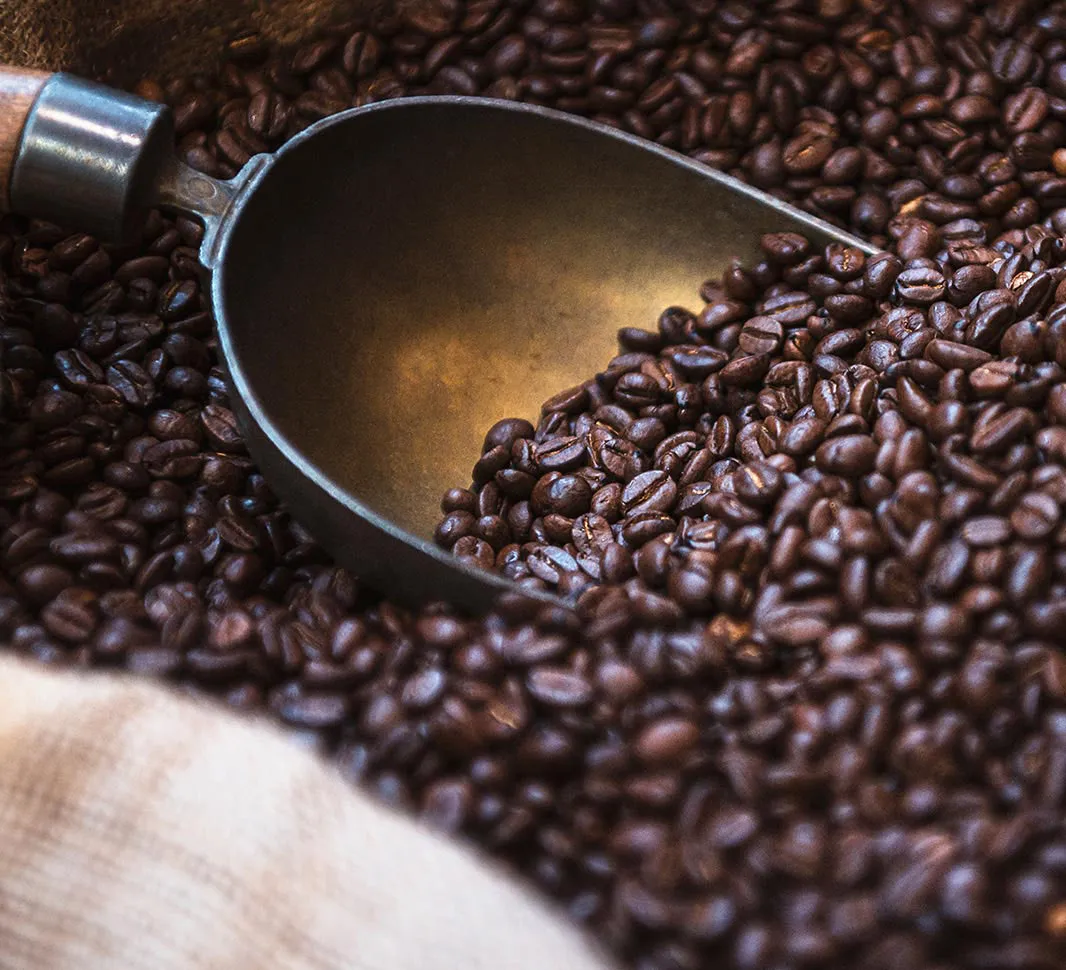 coffee words