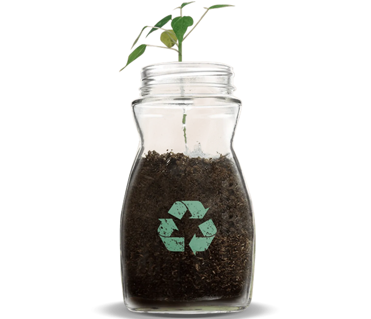 sustainability
