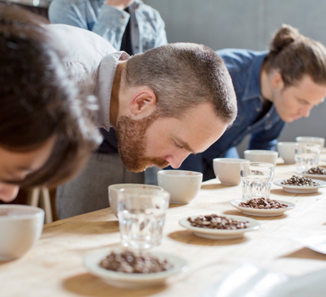 degustători experți de cafea