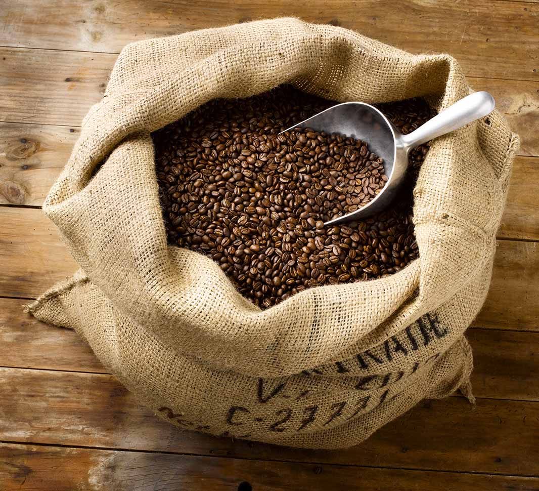 Uncommon Grounds (Pământuri Neobișnuite)