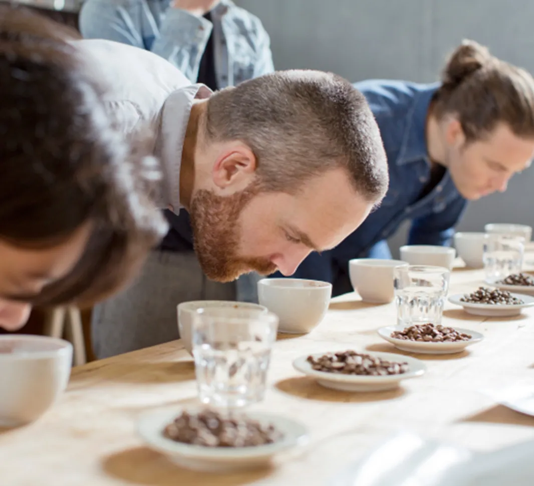 Coffee taste