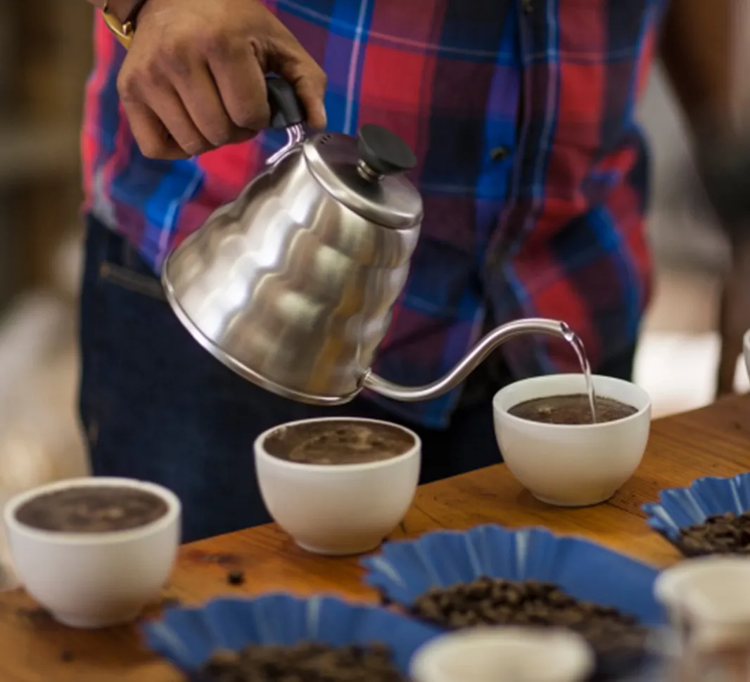Coffee taste