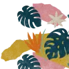 ilustratie planta