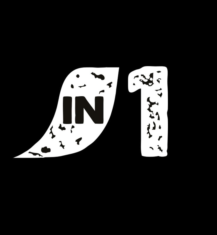 in1