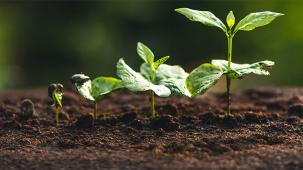 Sustainability