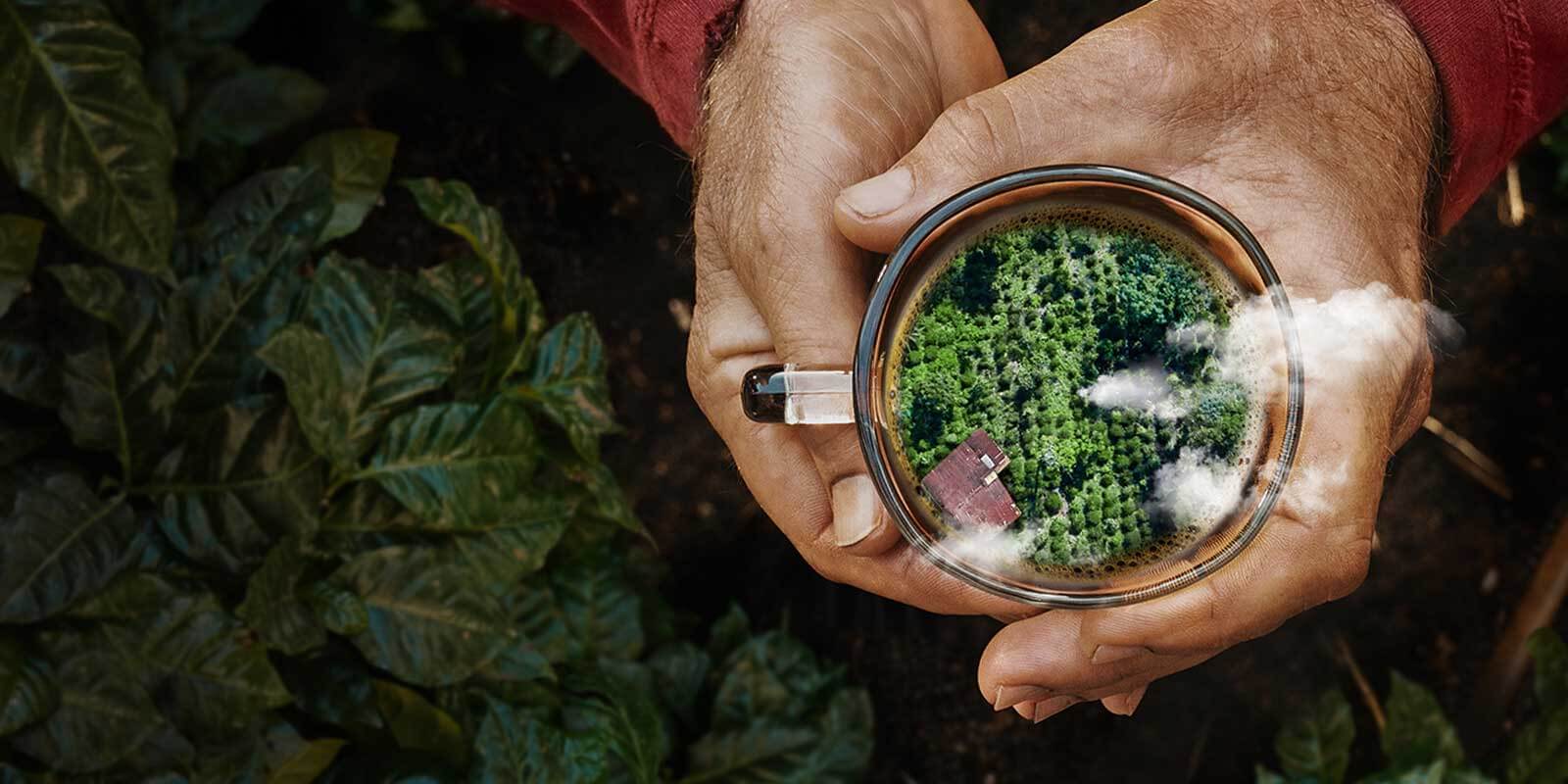 Hands holding a mug with nature inside