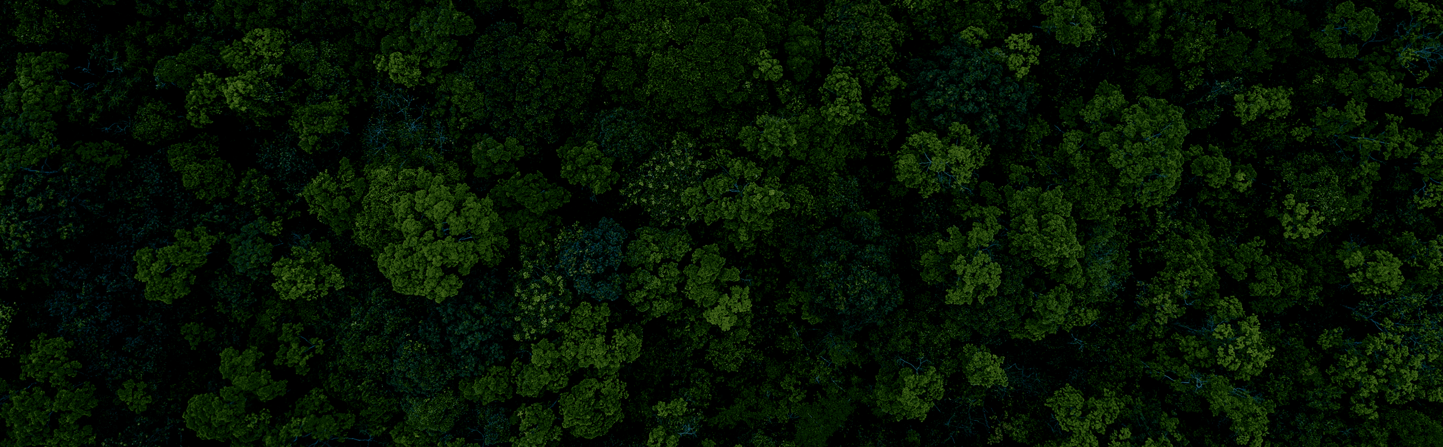 Our sustainability promise