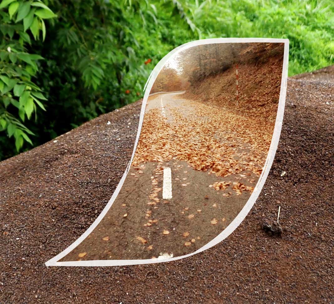 leaf and sand background