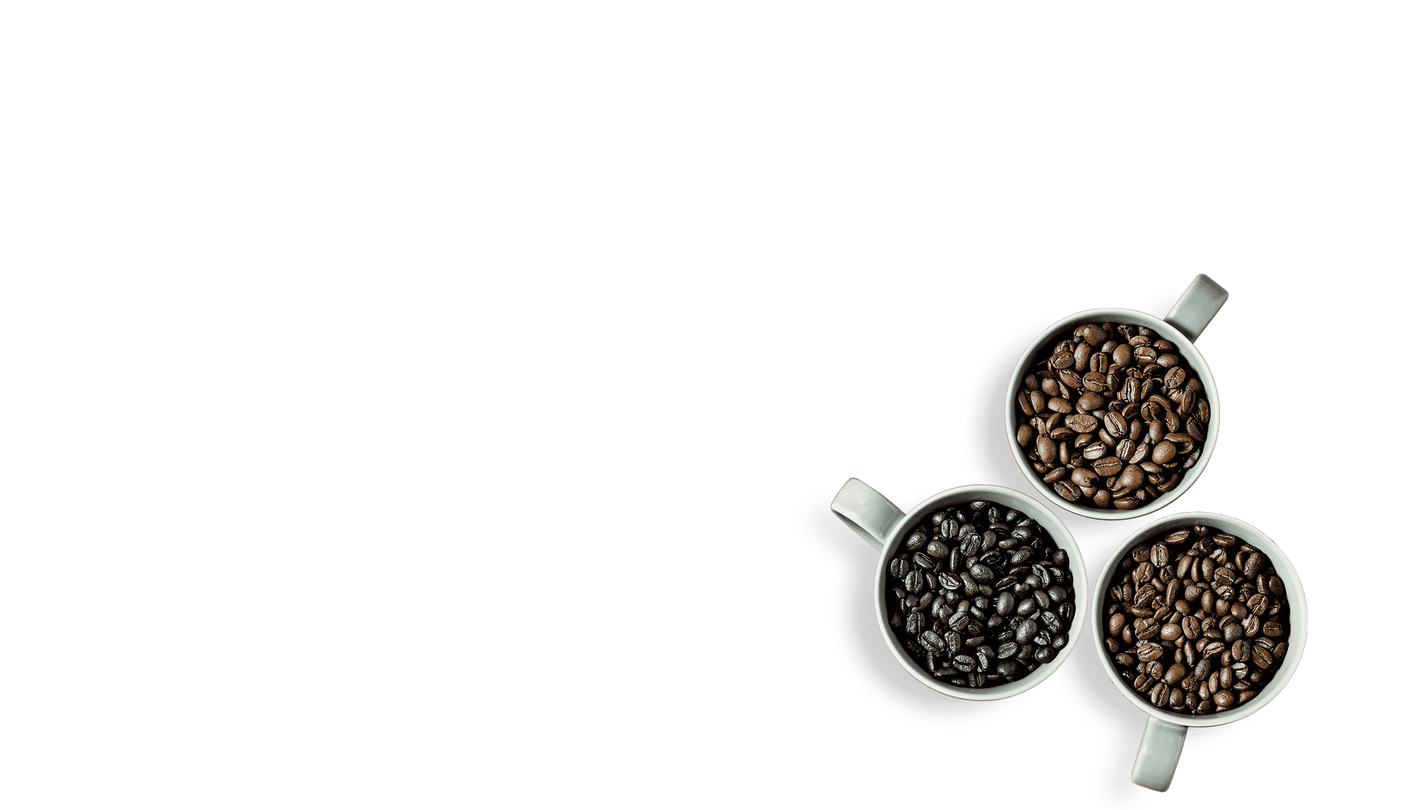 roasting process