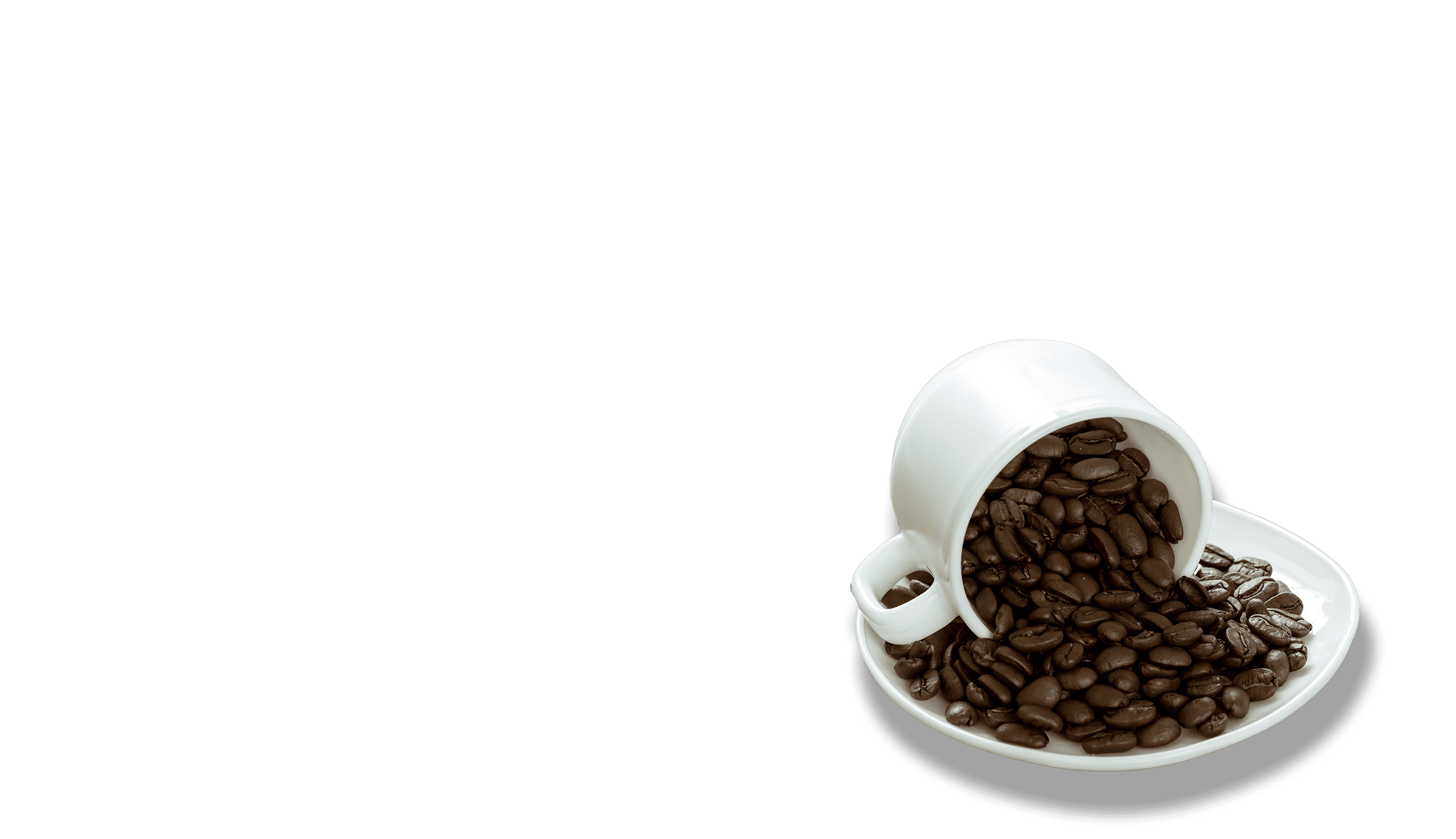 coffee cup guide