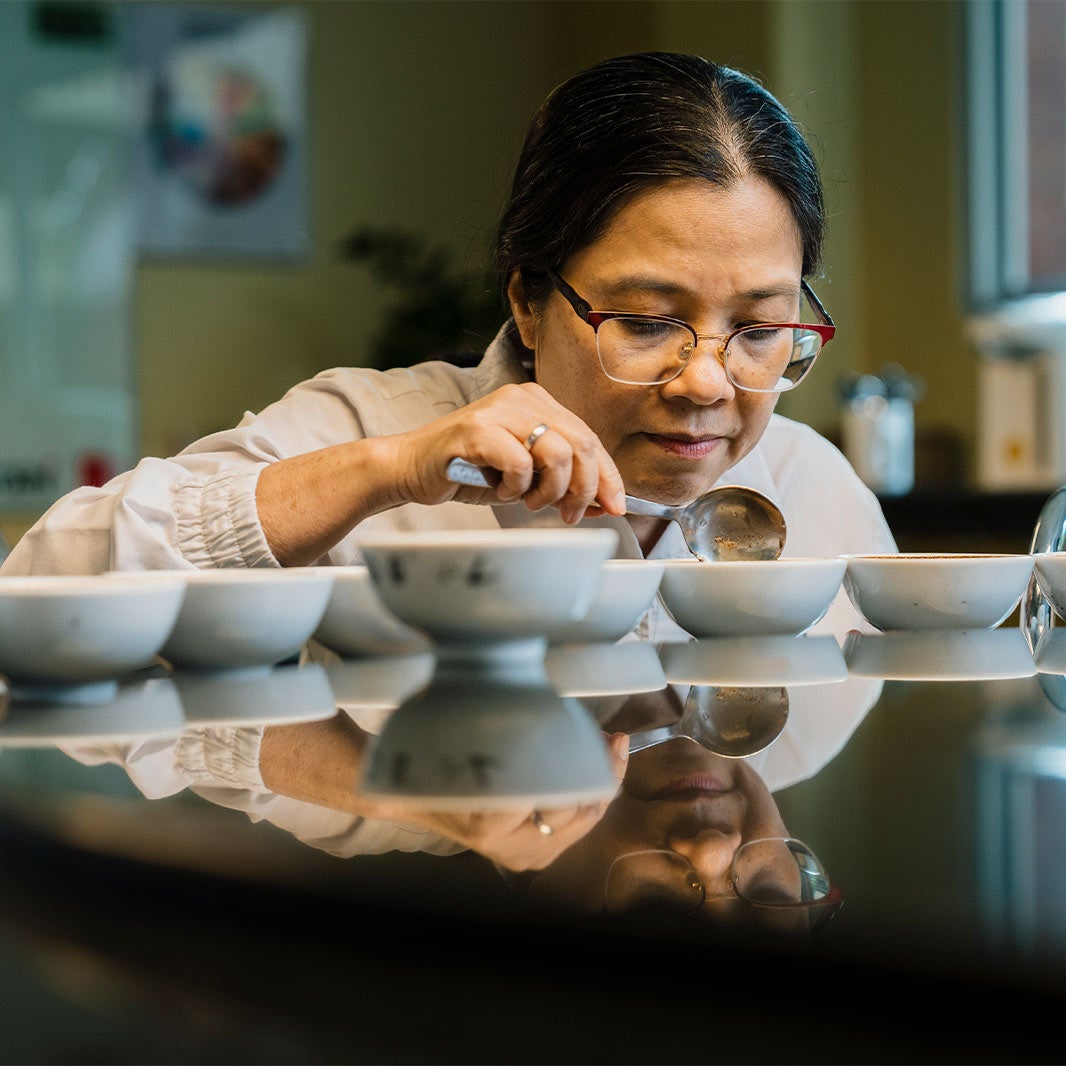 tasters & coffee quality