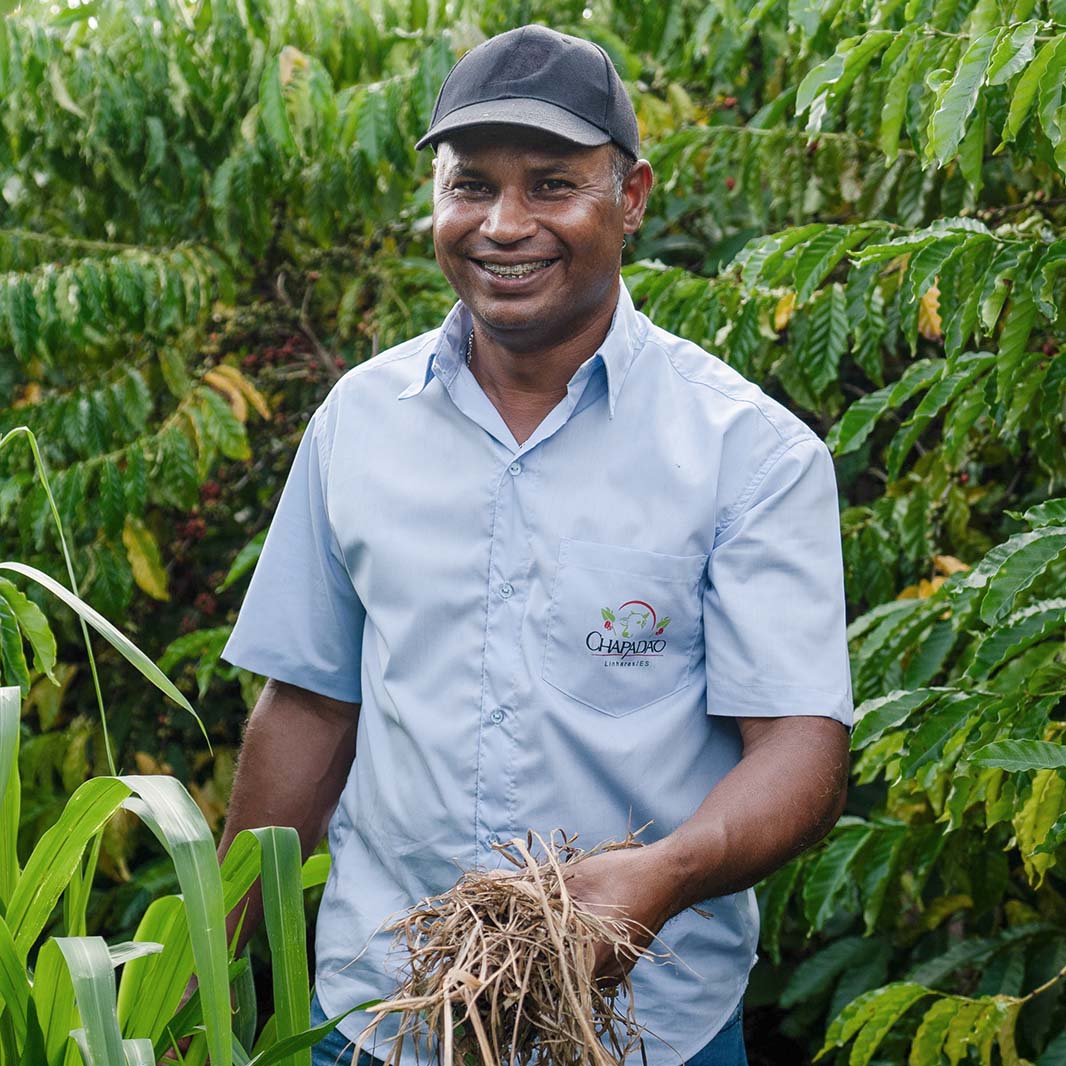 coffee farm manager