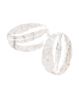 Silhouette of coffee beans