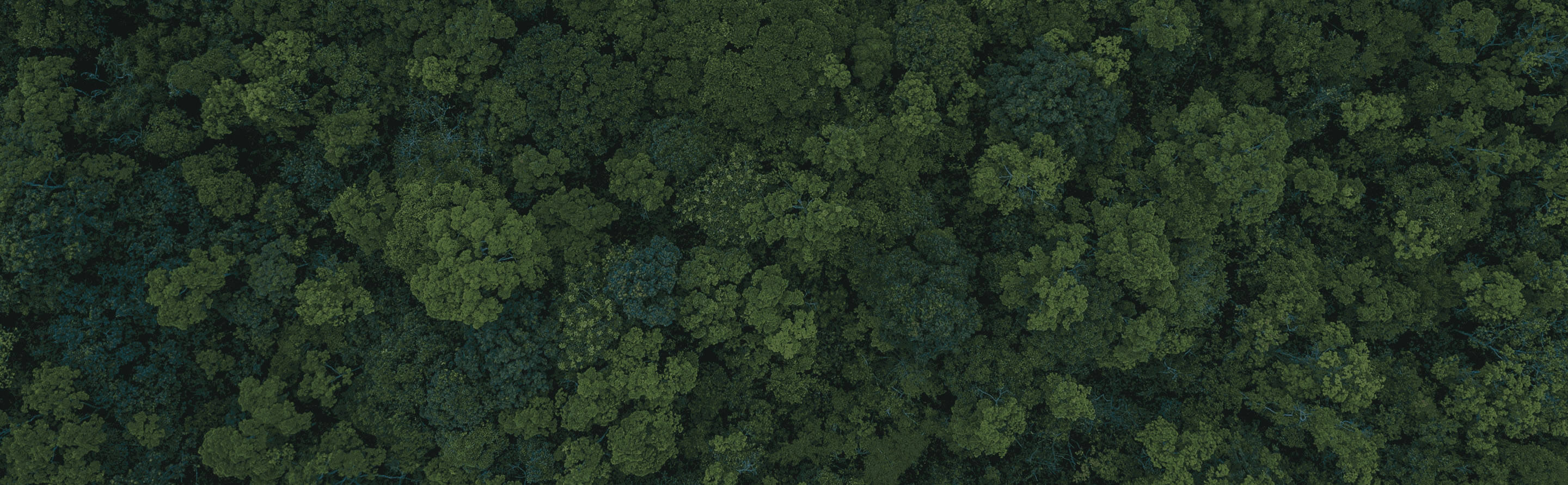 NESCAFÉ® sustainability promise