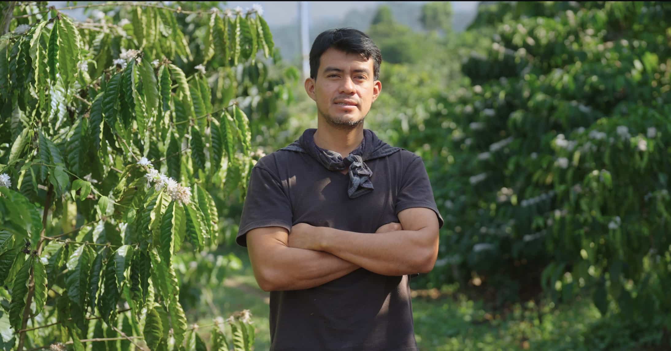 Coffee farmer standing in a coffee plantation during a sustainability interview.