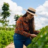 Coffee farmer working alongside nature caraousel image