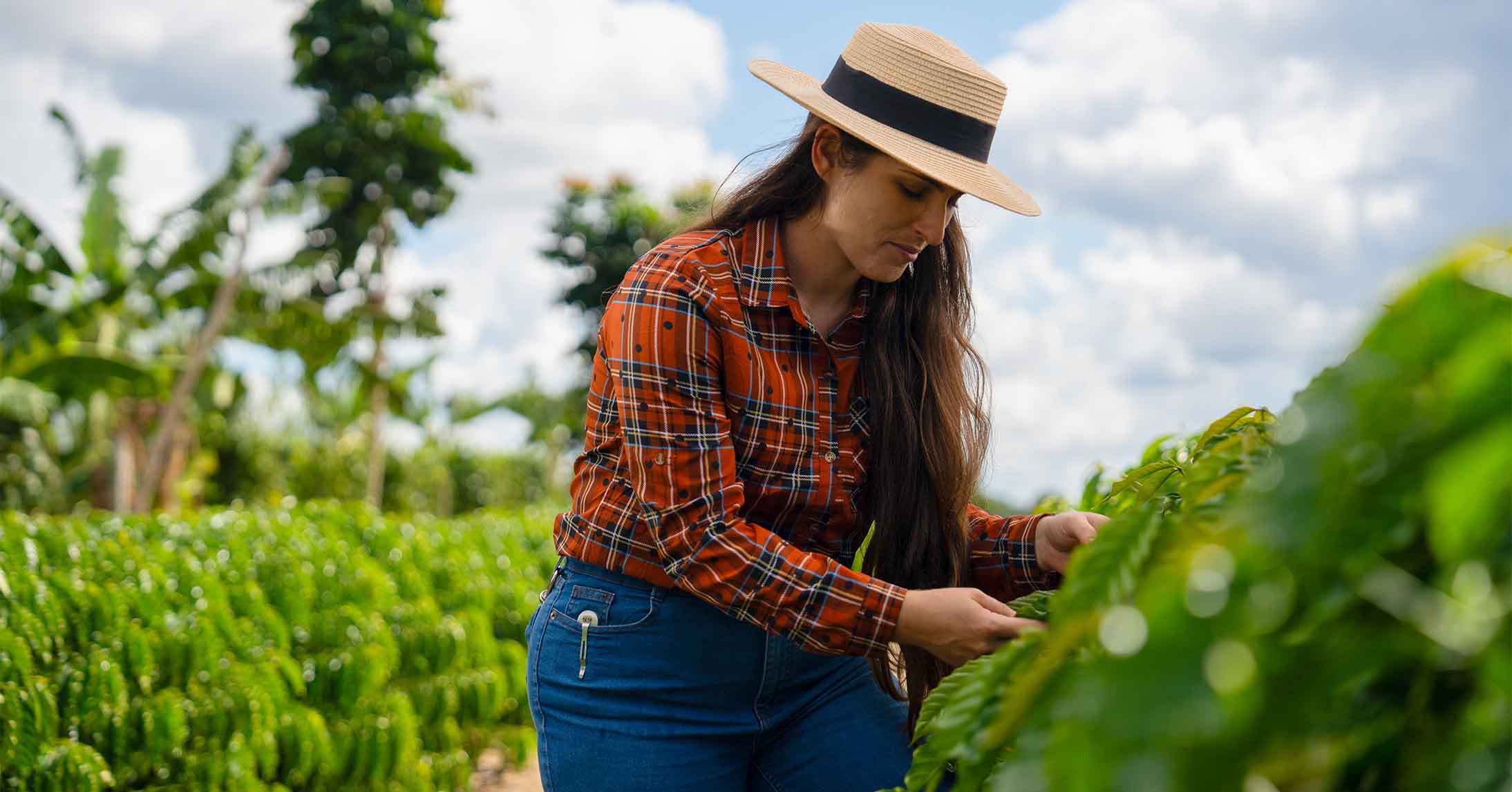Coffee farmer working alongside nature