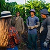 coffee farmers discussing regenative agriculutre caraousel image