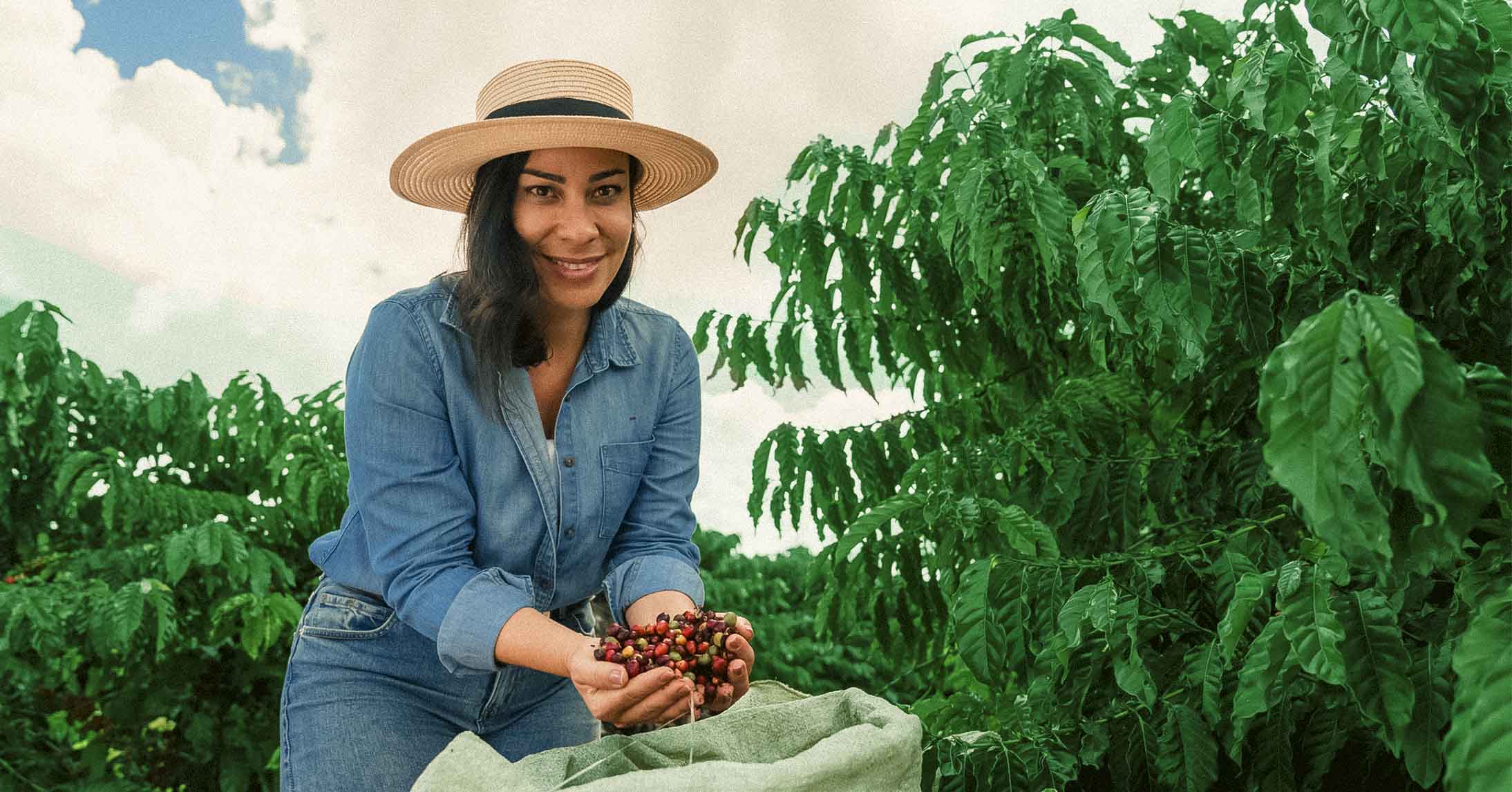 coffee farmer holding coffee cherries