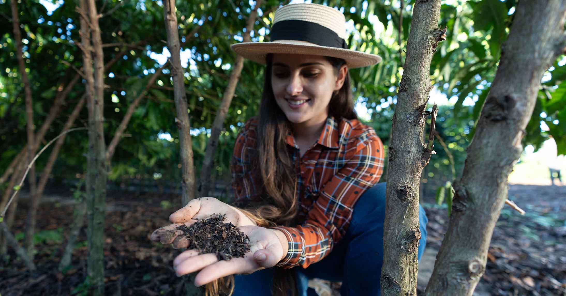 Woman examining healthy compost beneath shade trees