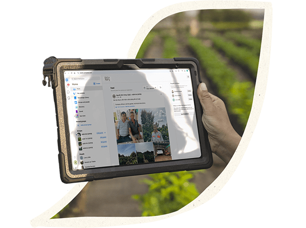Person holding a tablet on a coffee farm