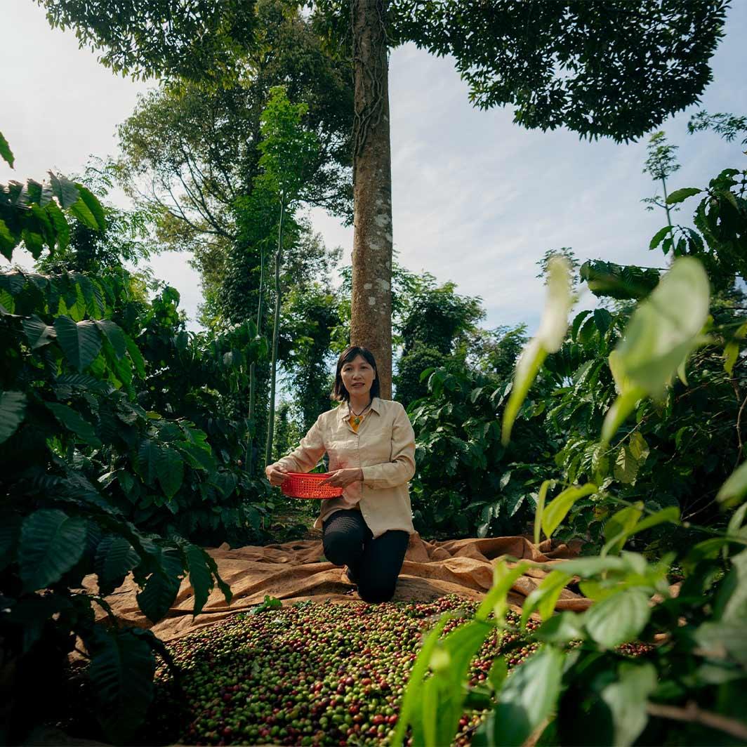 coffee producers