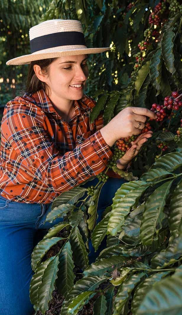 female coffee farmers