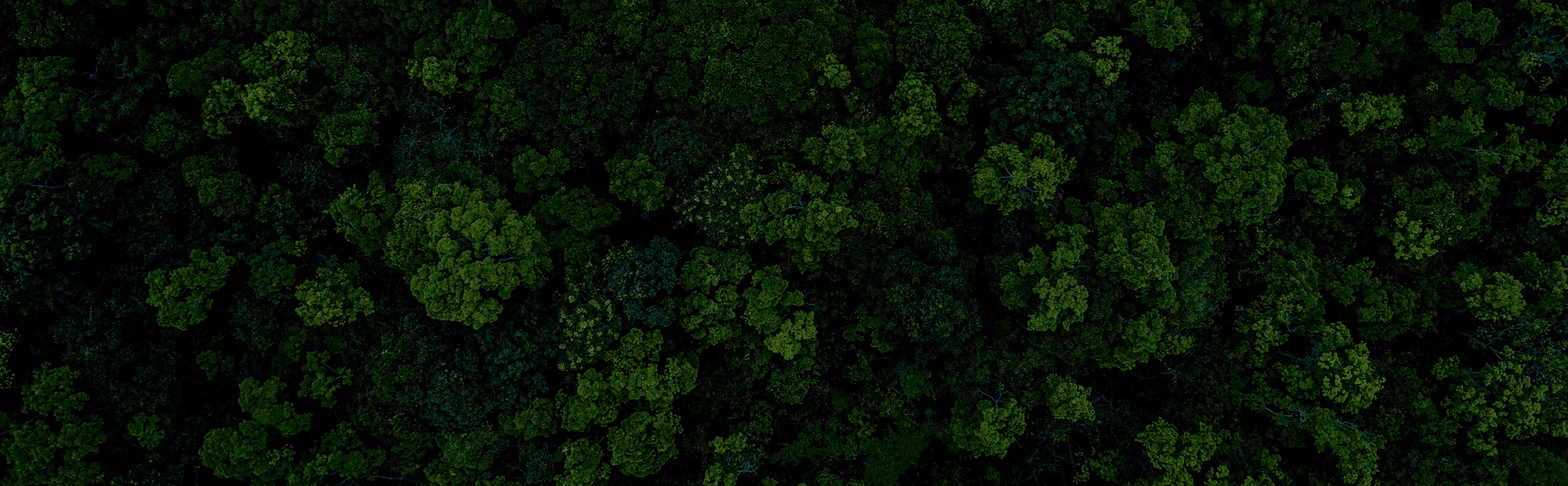 Our sustainability promise