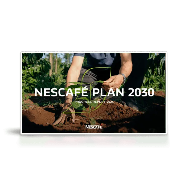 Coffee cherries representing NESCAFÉ Plan 2030