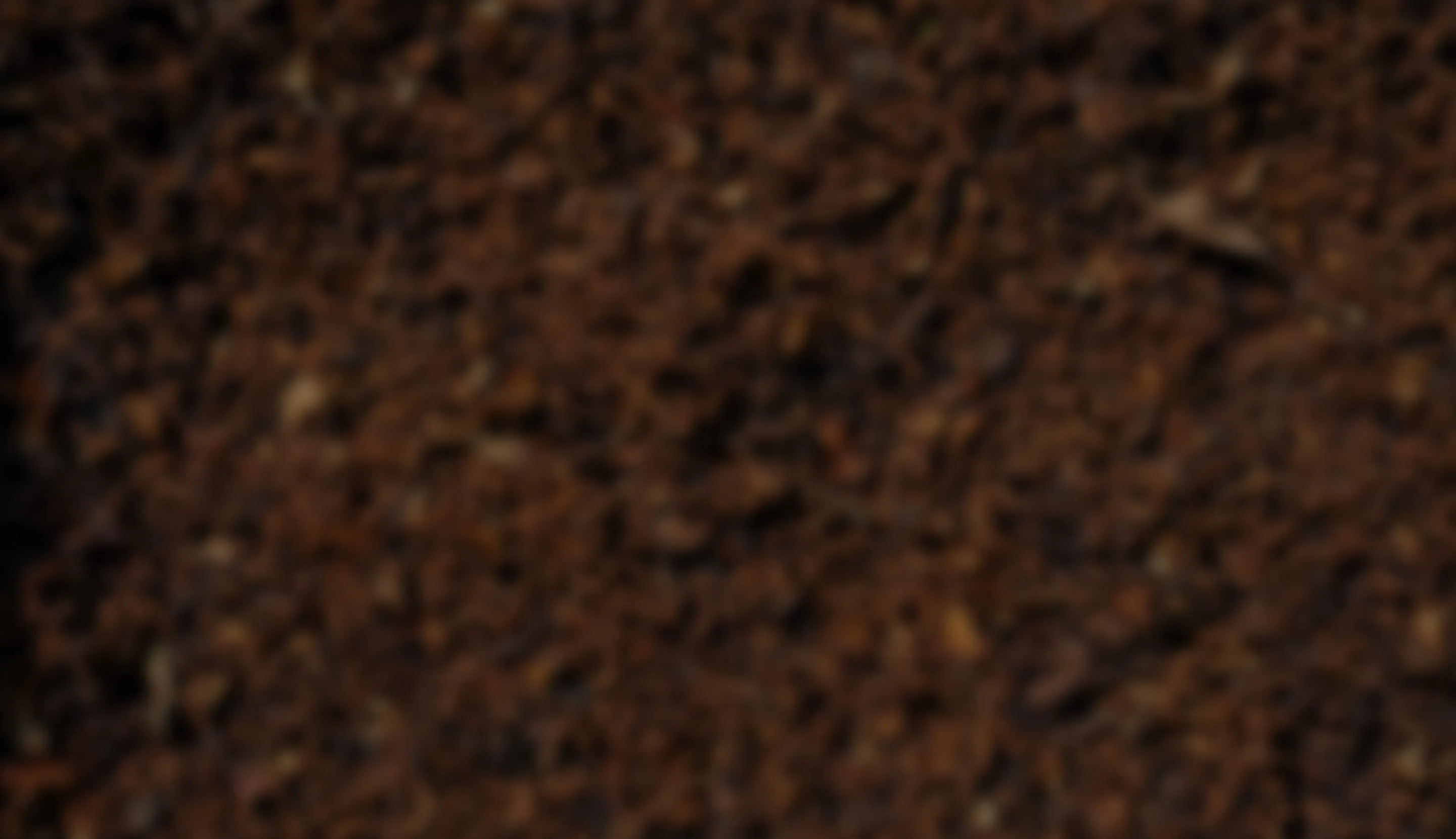 Coffee farm mulch