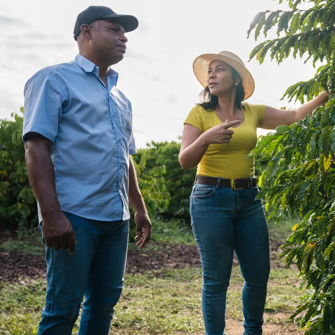NESCAFÉ agronomist providing training to coffee farmers
