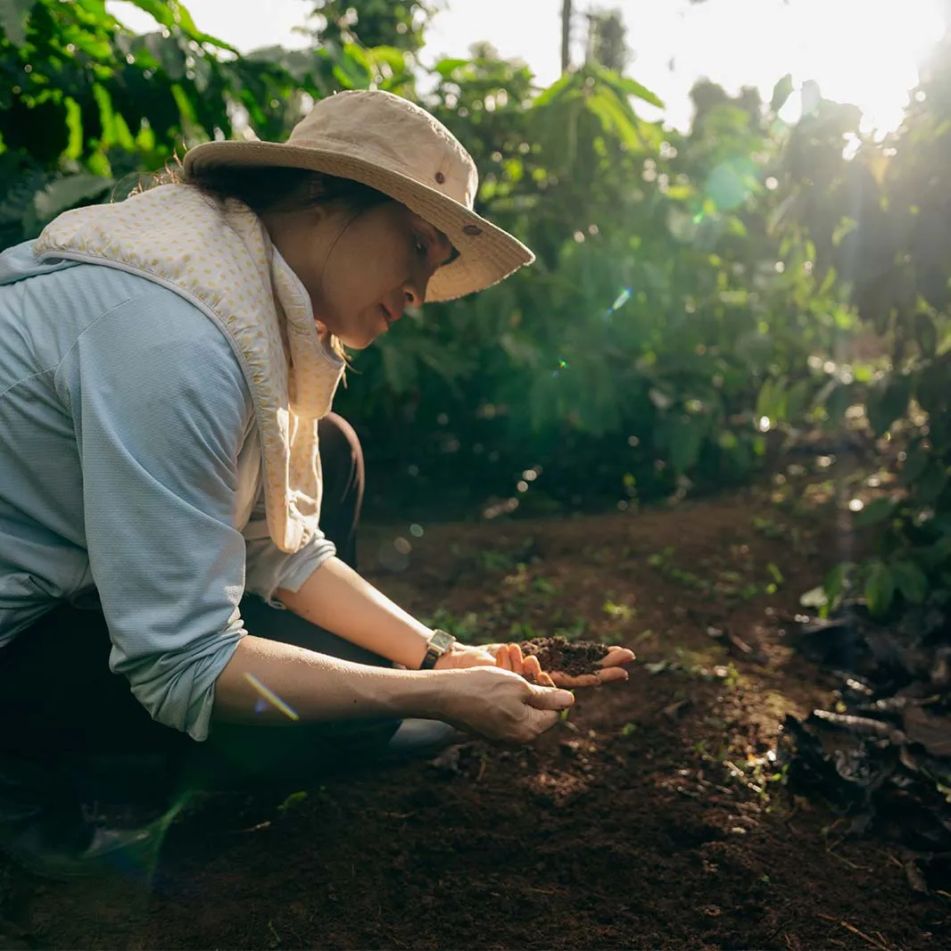 Coffee farmer looking at the soil