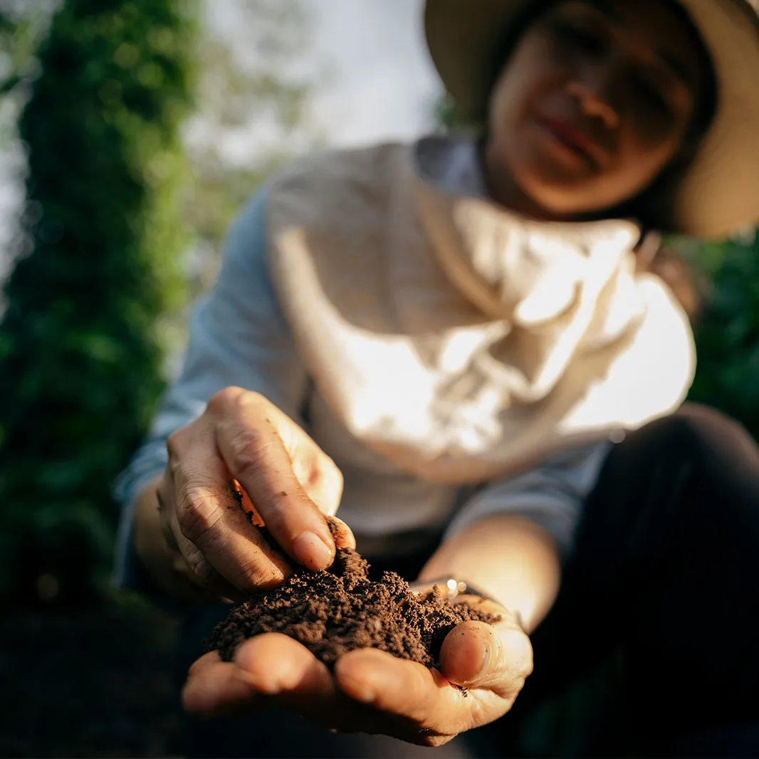 Farmer holding rich, healthy soil in their hands on a coffee farm
