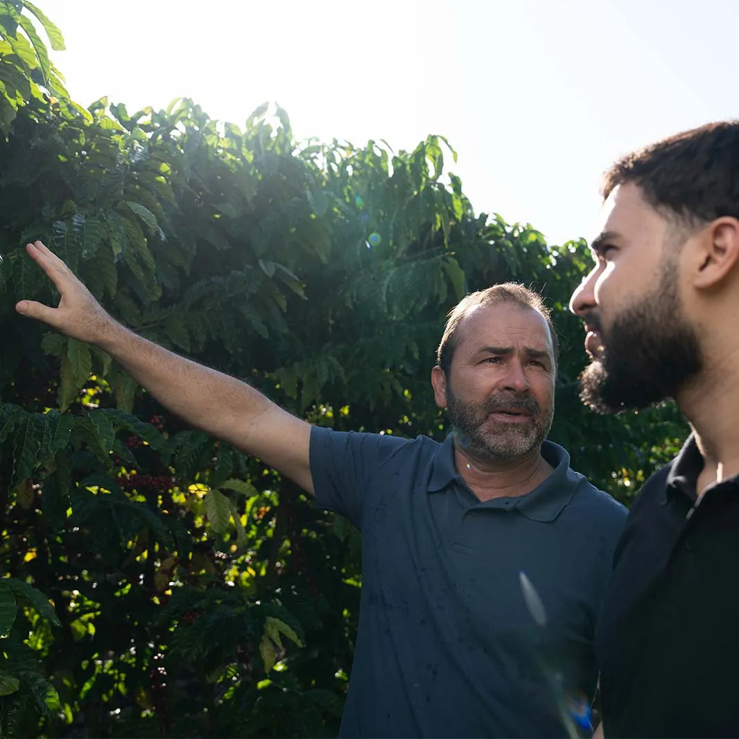 Agronomist discussing coffee plants and soil management with a coffee farmer