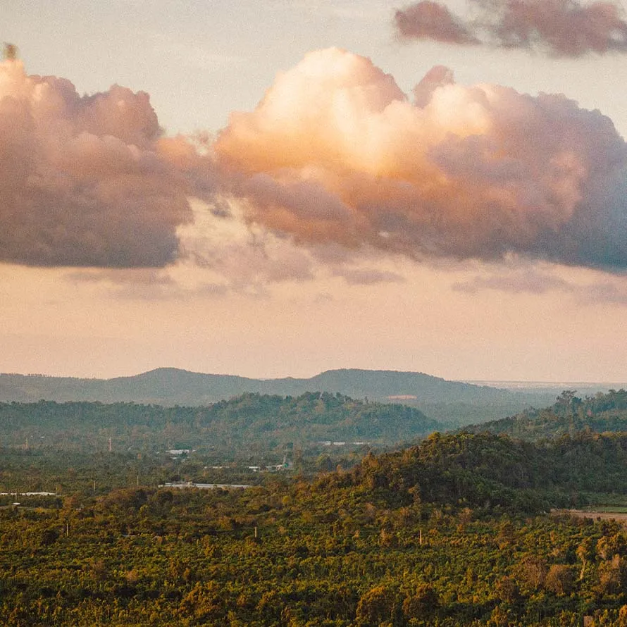 Clouds over coffee farm landscape