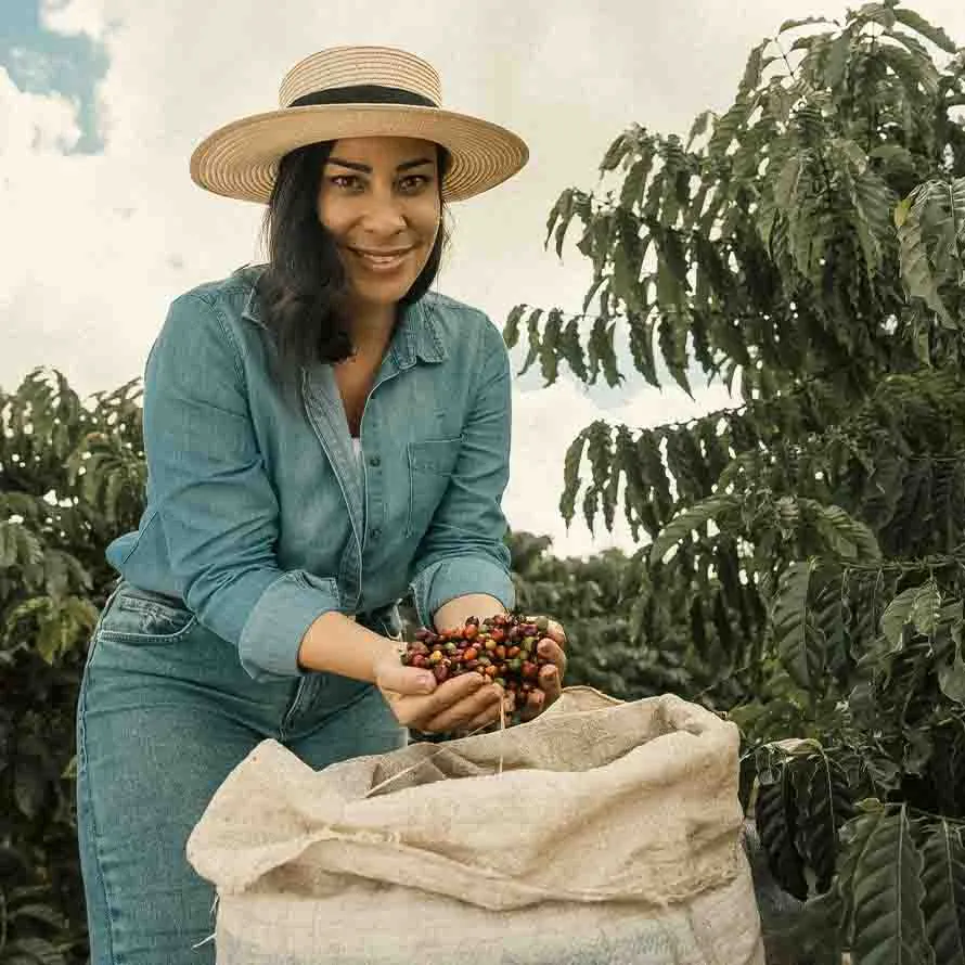 coffee farmer holding coffee cherries